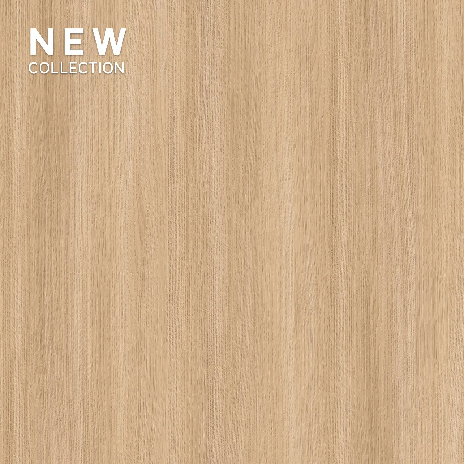 Melamine Faced Particle Board - K005 Oyster Urban Oak | WOODca